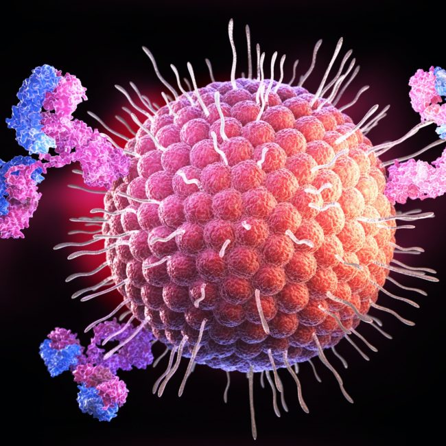 Herpes virus and antibodies, gastric cancer