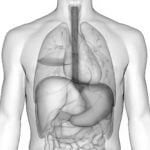 Rak jednjaka, u 4 koraka saznajte sve - Dr Miloš Bjelović